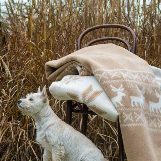 Reindeer Wool Blanket (200x210 cm) – Soft Merino Warmth for Slow Living